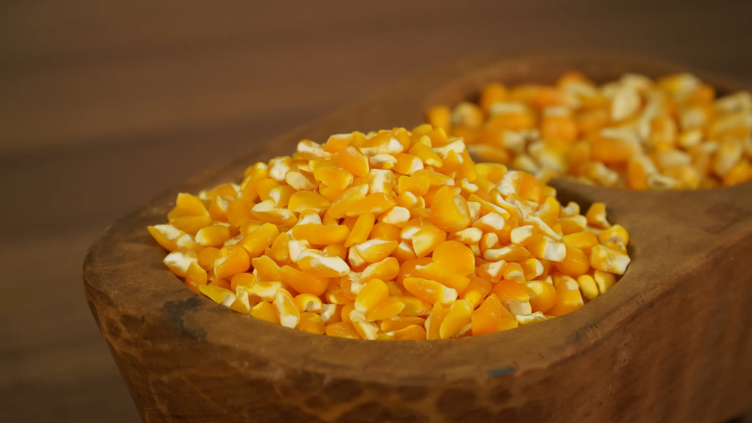 Produto 12 - Canjica Gold C 100 01